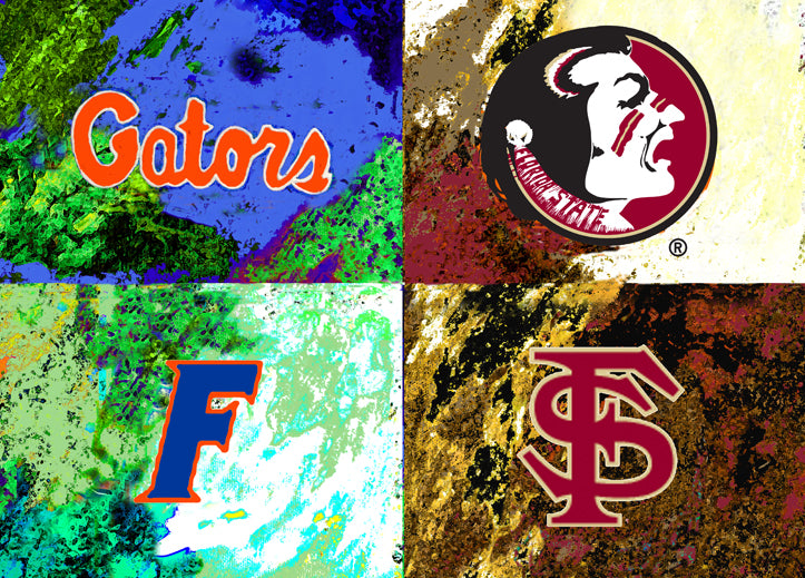 A House Divided - Florida / Florida State