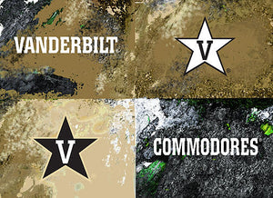 Vanderbilt Logos