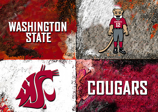 Washington State Logos