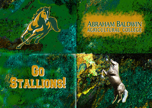 Abraham Baldwin Logos
