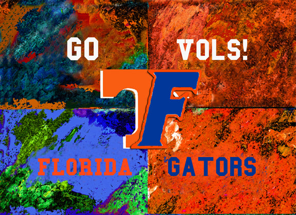 A House Divided - Florida / Tennessee