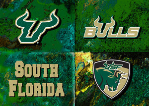 South Florida Logos