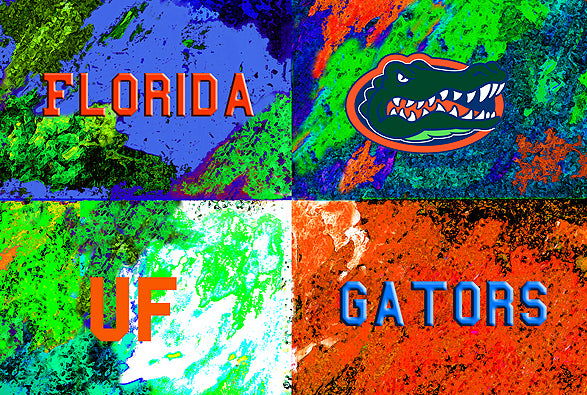 Florida Logos