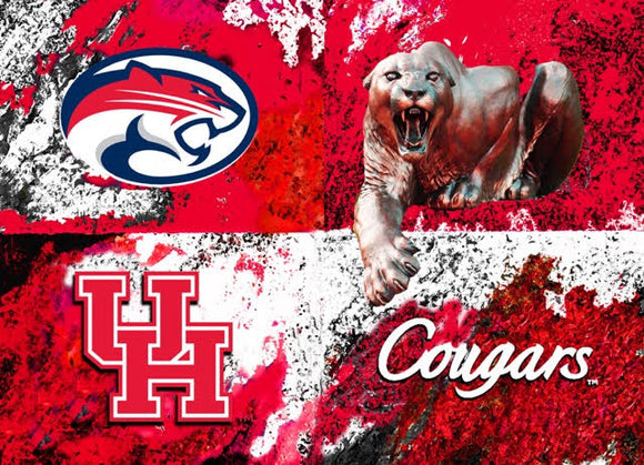 Houston Cougars Logos